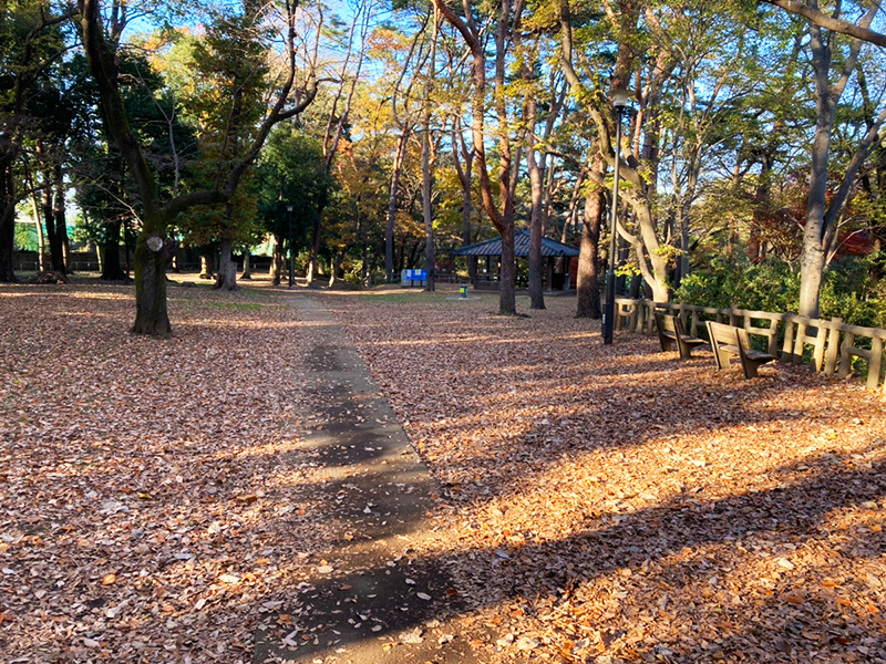 和田堀公園沿いへお散歩