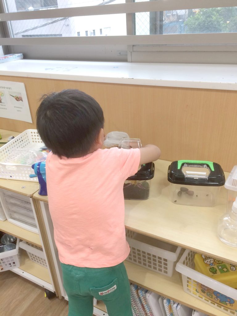 保育園に小さな仲間が増えました みんつく東雲ウーパールーパー日記 みんつく東雲 フローレンスの保育園 おうち保育園 みんなのみらいをつくる保育園