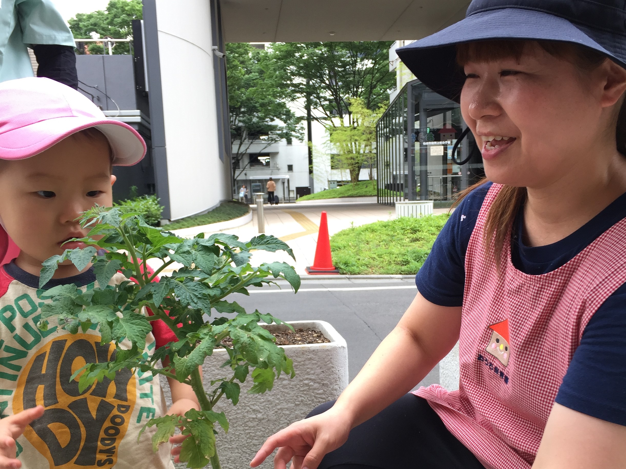 先生と子どもが野菜を育てている様子