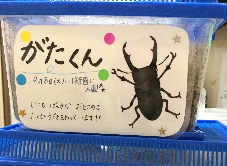 おうち保育園おおつかの生き物たち