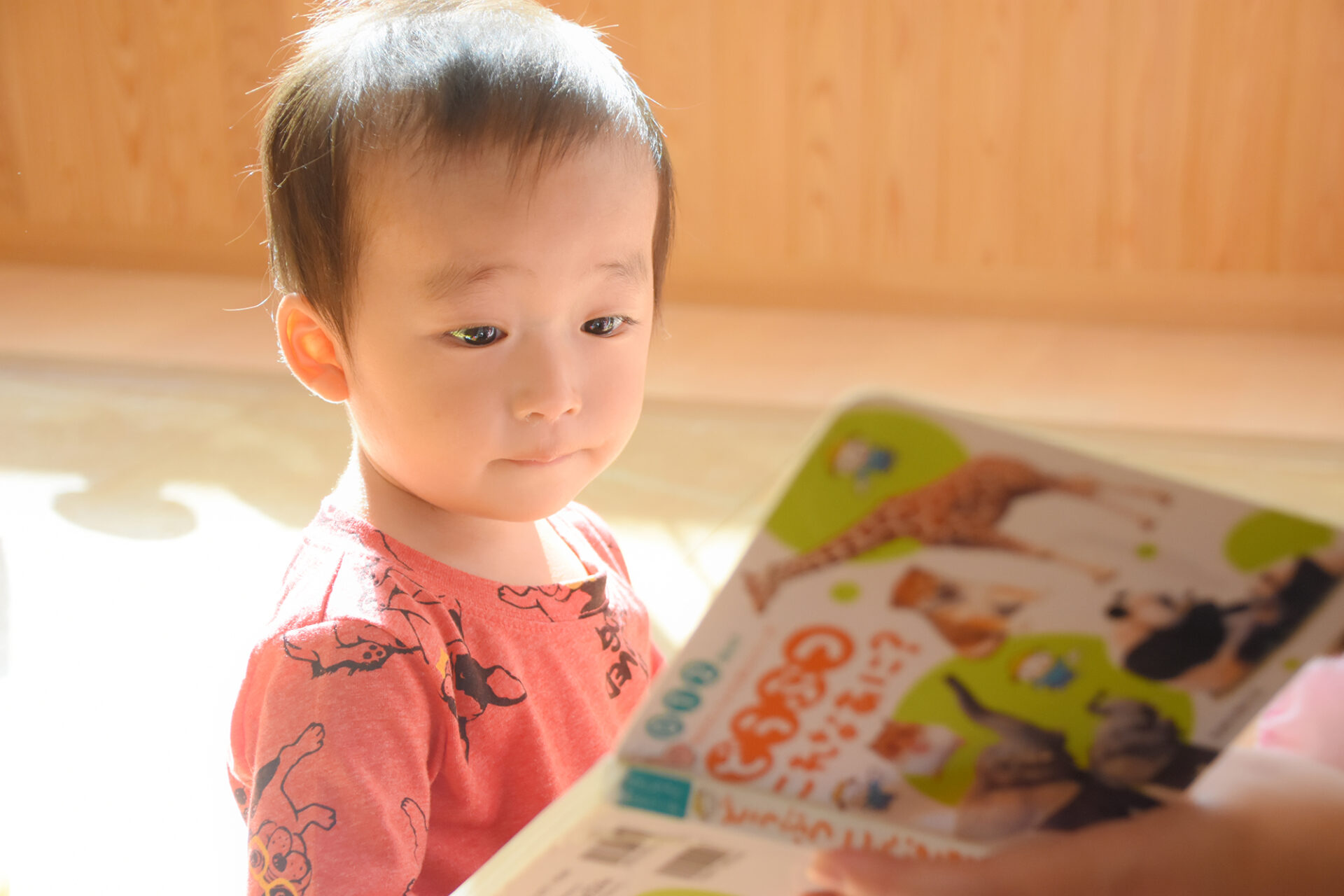 保育を受ける子どもの様子